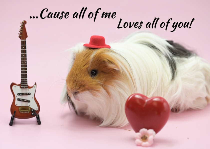 Valentijnskaarten - Valentijnskaart met cavia en muziek