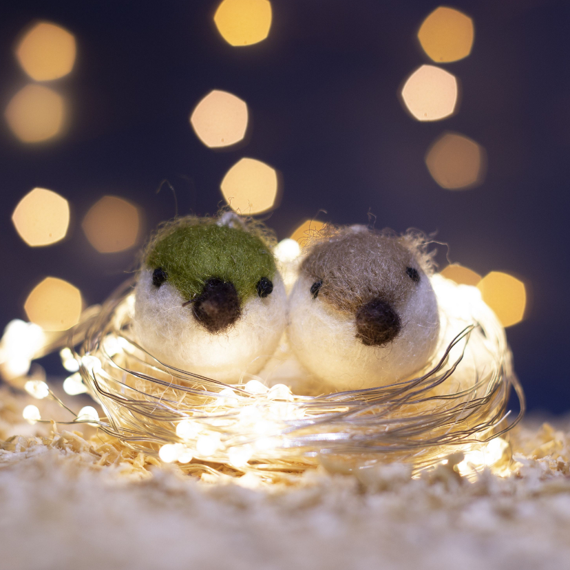 Valentijnskaarten - Valentijnskaart met twee vogels op een nest