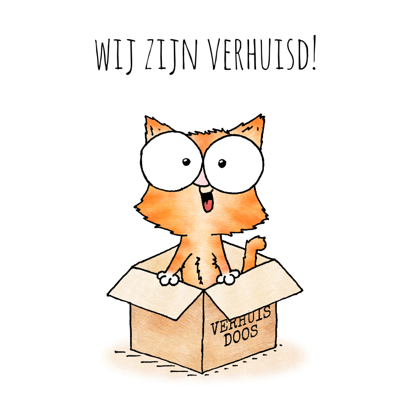 Verhuiskaarten - Verhuiskaart - kitten in verhuisdoos