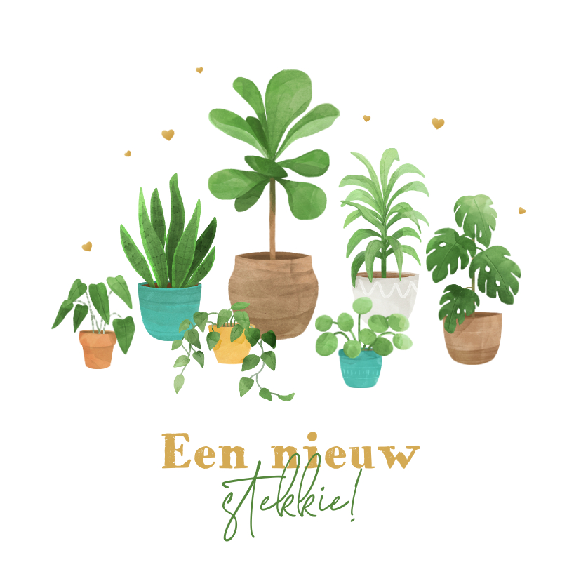 Verhuiskaarten - Verhuiskaart planten nieuw stekkie hartjes verhuisdoos