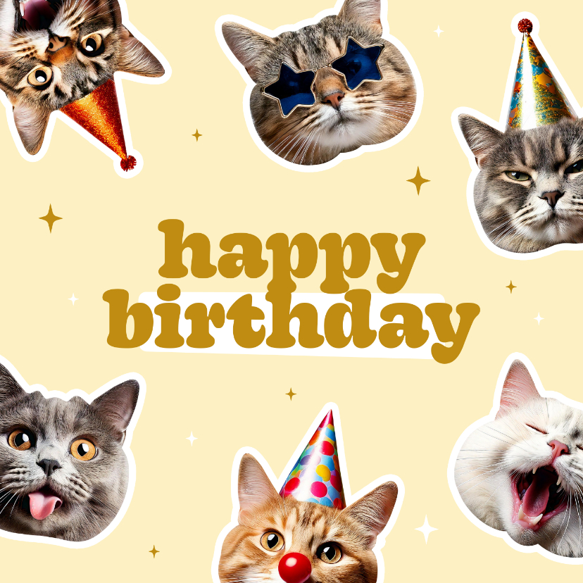 Verjaardagskaarten - Grappig verjaardagskaartje met katten happy birthday