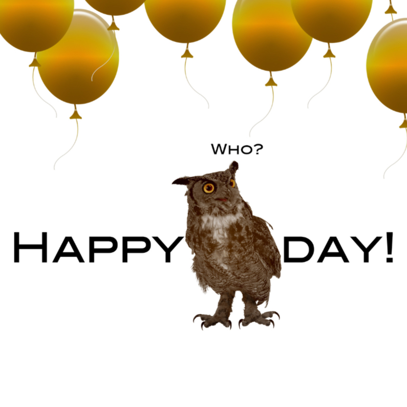 Verjaardagskaarten - Happy bird day to you