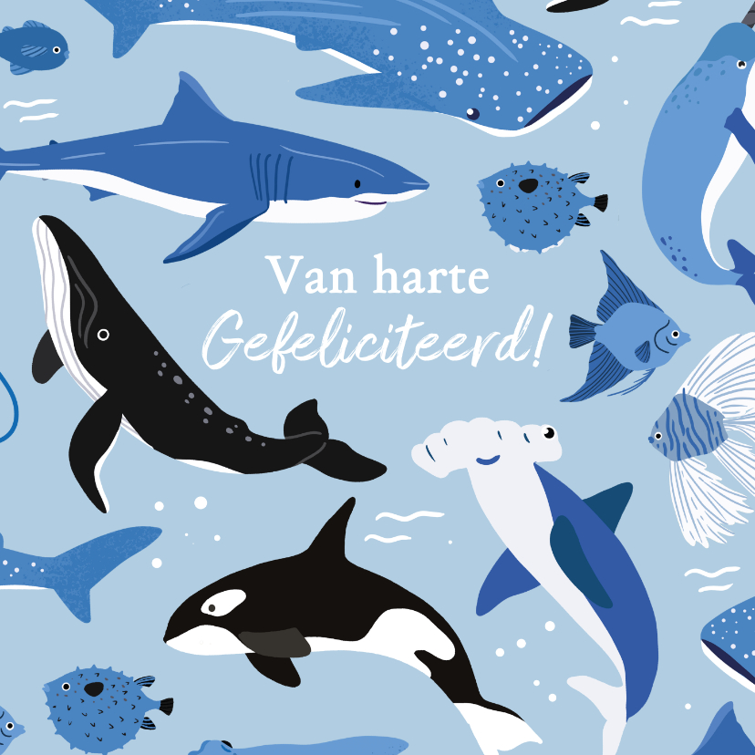 Verjaardagskaarten - Stoere verjaardagskaart met waterdieren