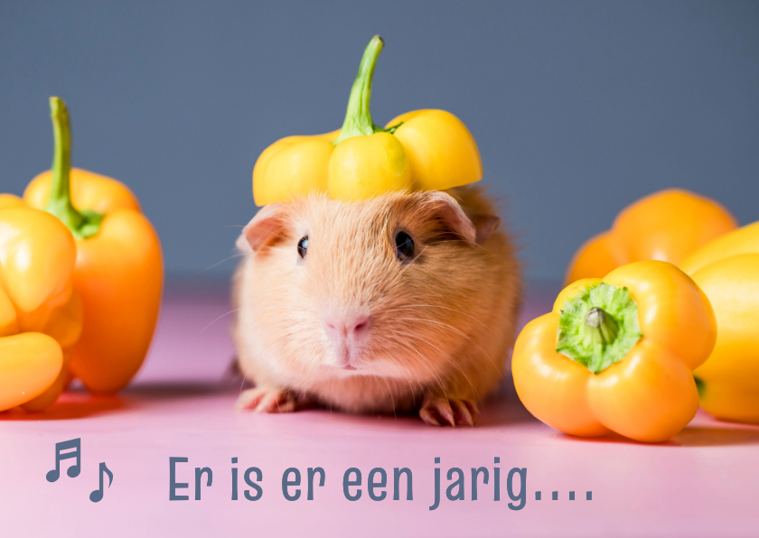 Verjaardagskaarten - verjaardagskaart cavia met feestmuts van paprika