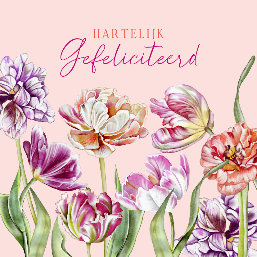 Verjaardagskaarten - Verjaardagskaart kleurige tulpen