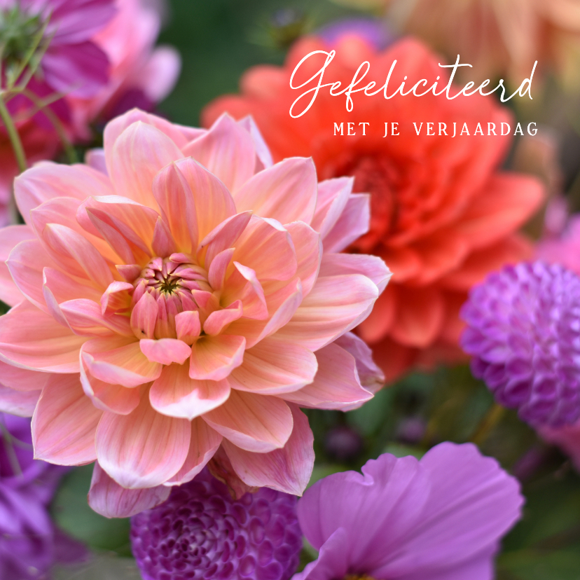 Verjaardagskaarten - Verjaardagskaart met foto van vrolijk gekleurde Dahlia's