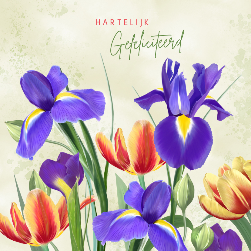 Verjaardagskaarten - Verjaardagskaart met irissen en tulpen