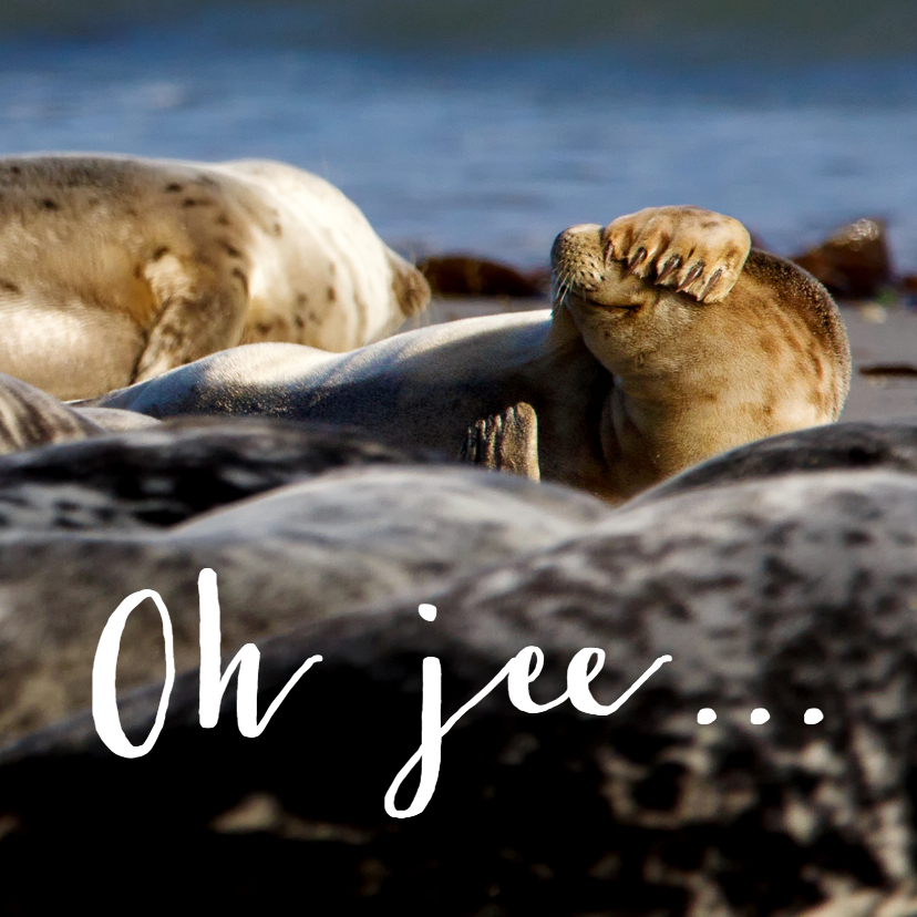 Verjaardagskaarten - Verjaardagskaart te laat - Zeehond - OT