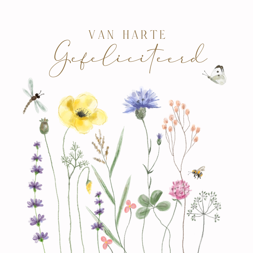 Verjaardagskaarten - Verjaardagskaart - Veldbloemen met vlinder en bijtje