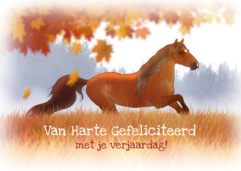 Verjaardagskaarten - Verjaardagskaartje paard in de herfst