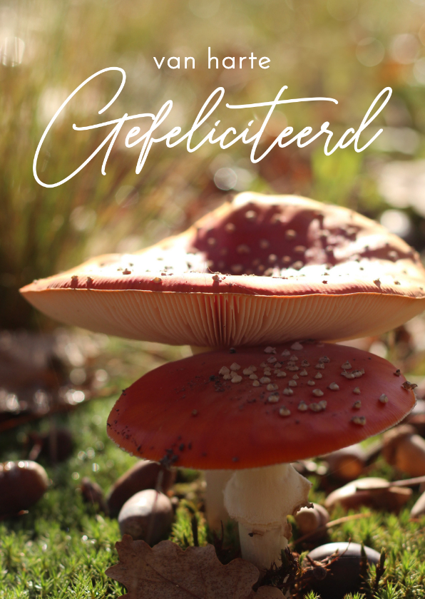 Verjaardagskaarten - Verjaardagskaartje twee paddestoelen herfst foto