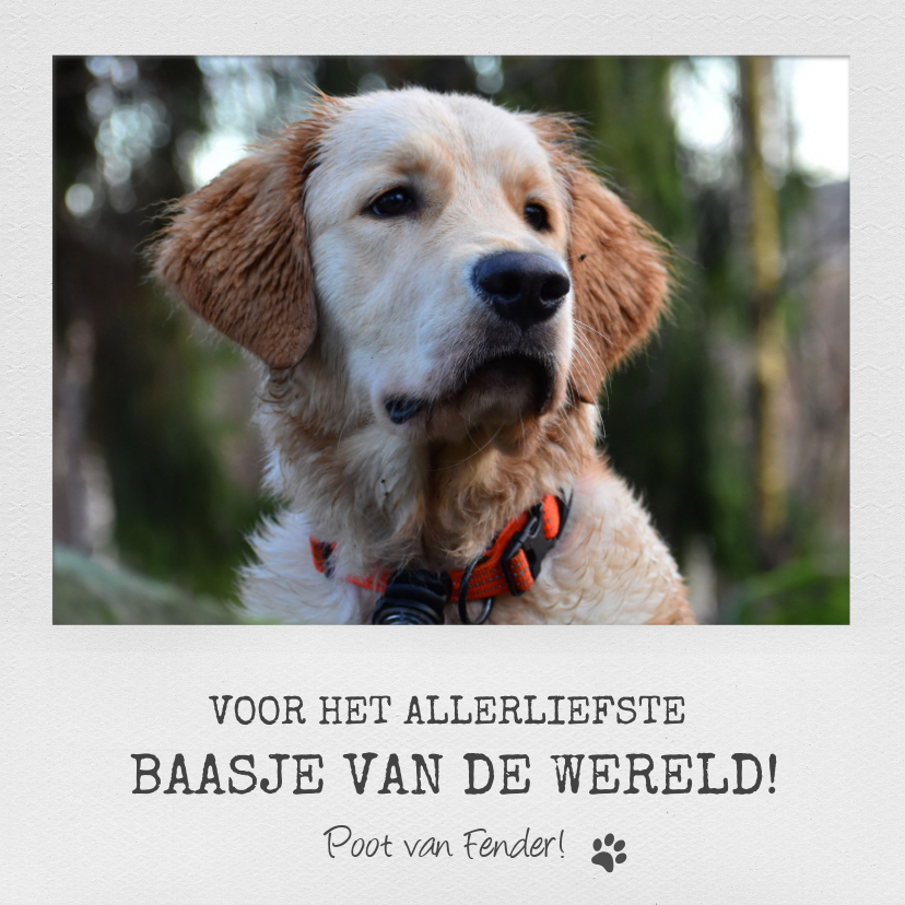 Wenskaarten - Dierenkaart met eigen foto voor het allerliefste baasje