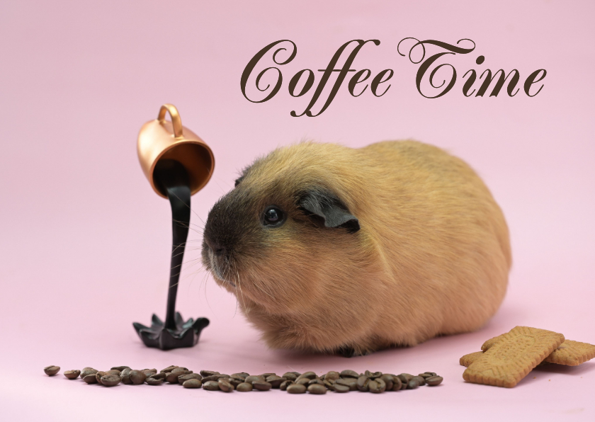 Wenskaarten - Kopje koffie cavia wenskaart