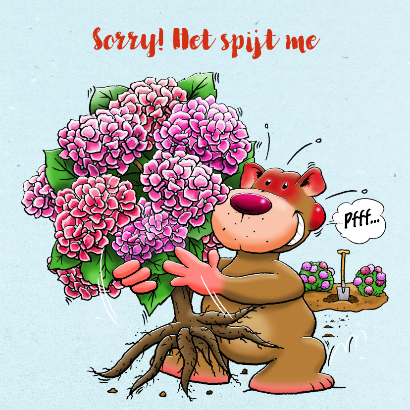 Wenskaarten - Leuke sorry kaart voor een vriendin met Hortensia-struik