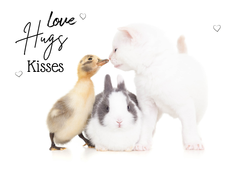 Wenskaarten - Liefde kaart 'love hugs kisses met konijn kuiken kitten