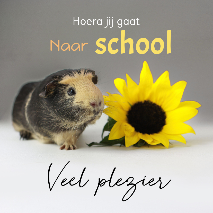 Wenskaarten - Naar school, veel plezier