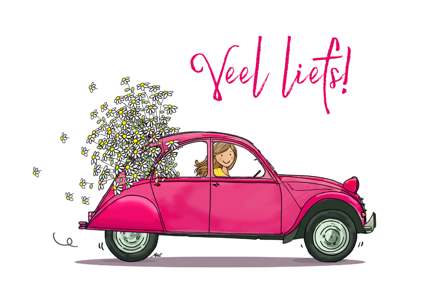 Wenskaarten - Rode eend 2cv met bos bloemen