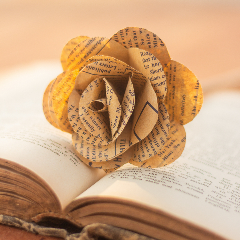 Wenskaarten - Vintage wenskaart met een papieren roos op een oud boek