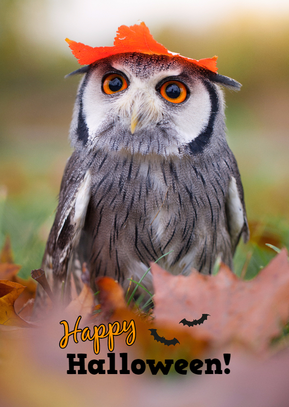 Wenskaarten - Wenskaart Happy Halloween uil