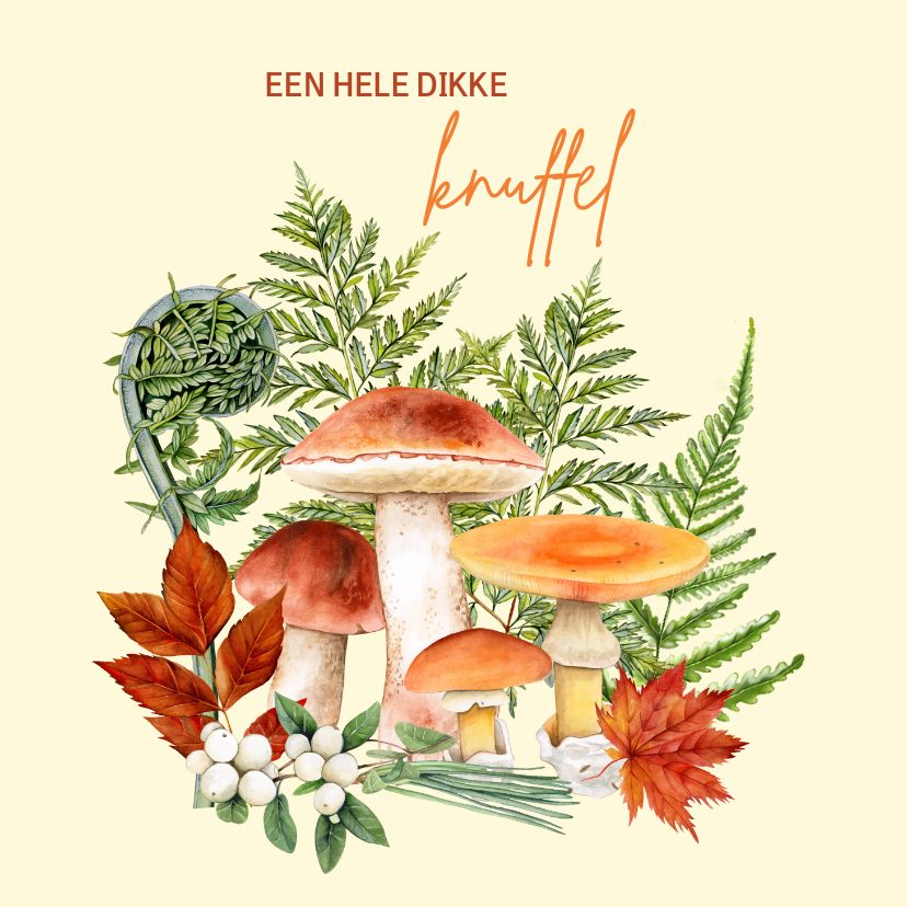 Wenskaarten - Wenskaart herfst paddestoelen