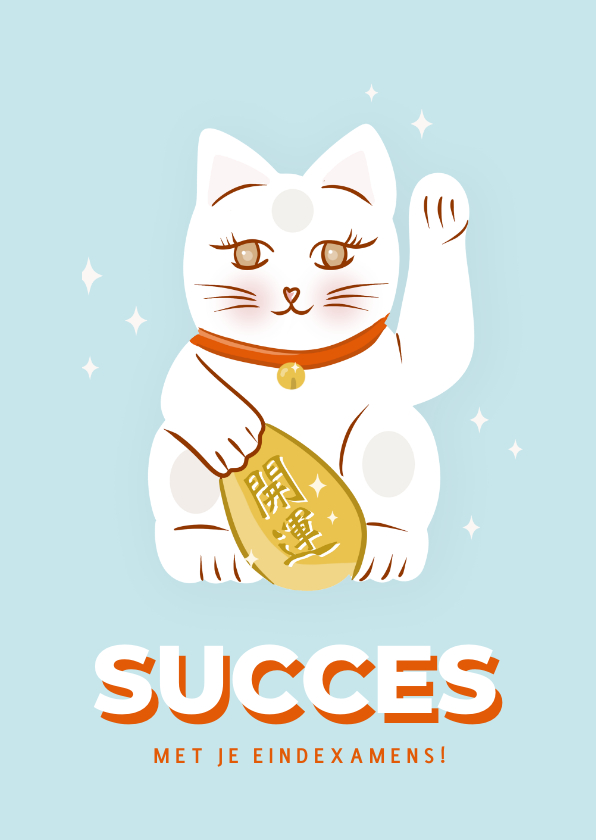 Wenskaarten - Wenskaart lucky cat succes met je eindexamens