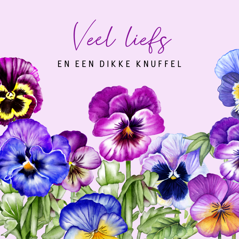 Wenskaarten - Wenskaart viooltjes in het veld