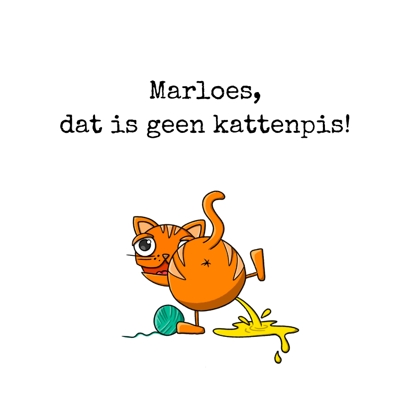 Wenskaarten - Zomaarkaart dat is geen kattenpis