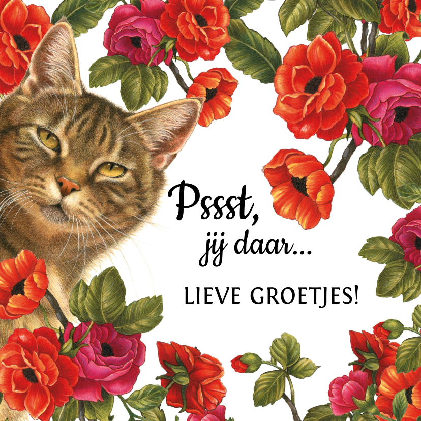 Wenskaarten - Zomaarkaart Pssst jij daar lieve groetjes bloemen en katten